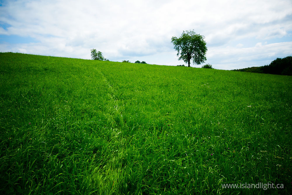 Landscape  photo from  Aillevillers, Haute-Saone France.