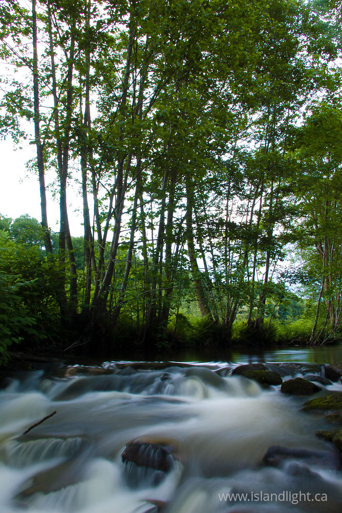 Landscape photo from  Aillevillers, Haute-Saone France.