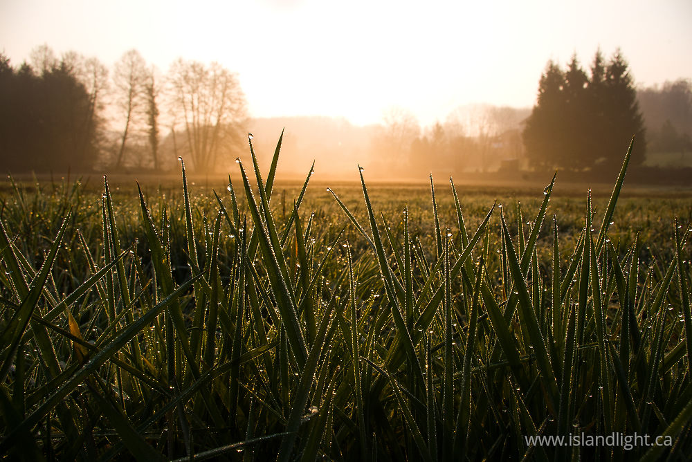 Landscape photo from  Aillevillers,  France.