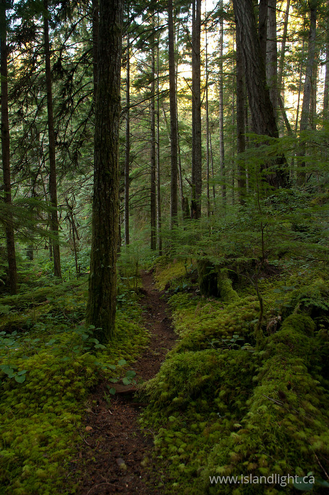 Landscape photo from  Cortes Island, BC Canada.