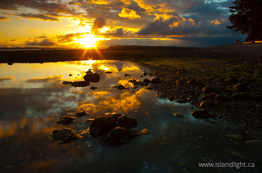 Landscape  photo from Smelt Bay Cortes Island, BC Canada.