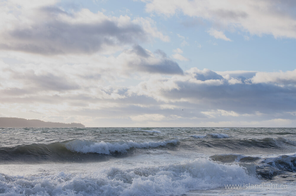 Landscape  photo from  Cortes Island, British Columbia Canada.