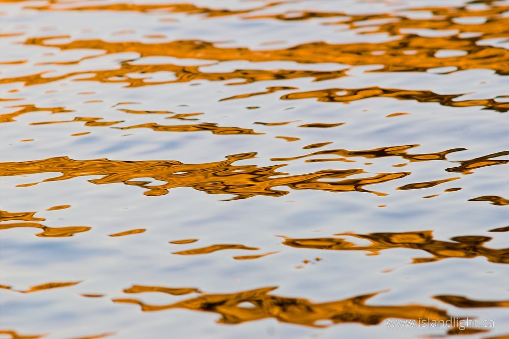 Reflection photo from  Cortes Island, BC Canada.