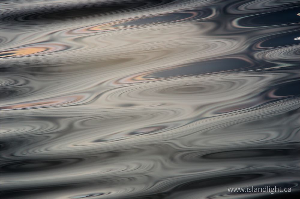 Reflection photo from  Cortes Island, BC Canada.