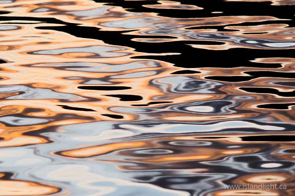 Reflection photo from  Cortes Island, BC Canada.