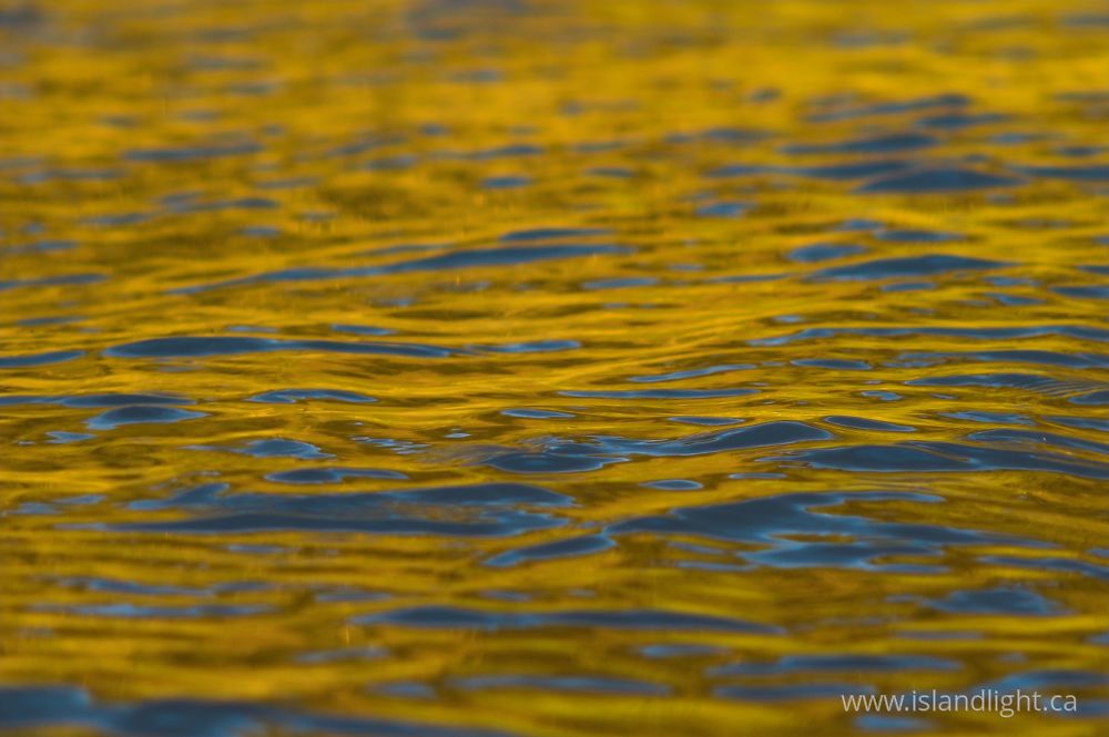 Reflection photo from  Cortes Island, BC Canada.