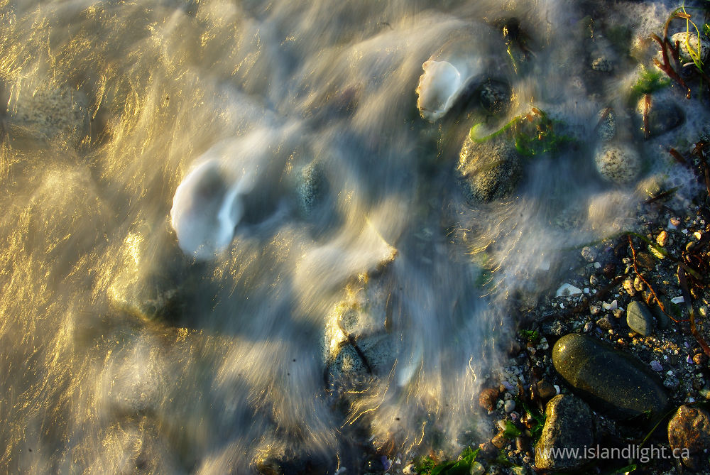 Seascape  photo from Smelt Bay Cortes Island, BC Canada.