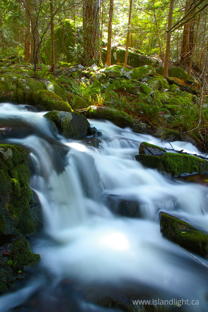 Landscape photo from Mansons Landing Cortes Island, BC Canada.