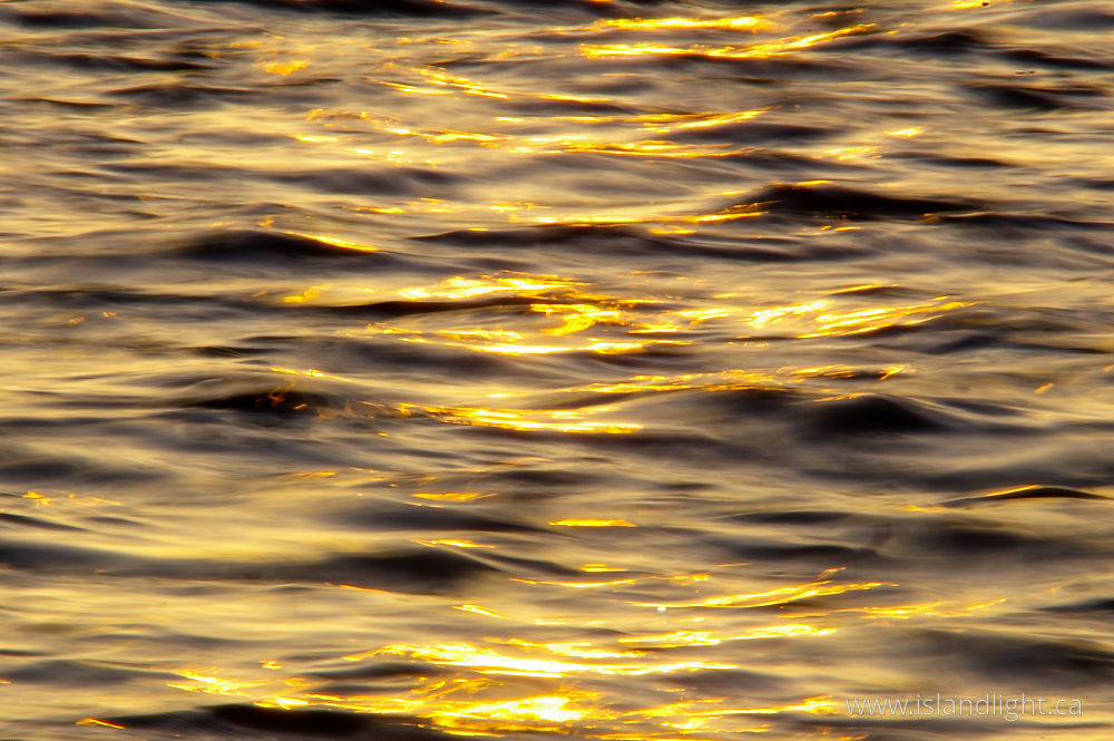 Seascape photo from  Salish Sea, BC Canada.