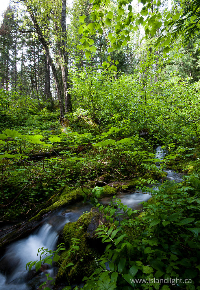 Landscape  photo from  Slocan Valley, BC Canada.