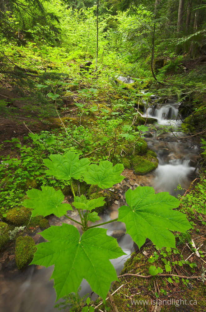 Landscape photo from  Slocan Valley, British Columbia Canada.