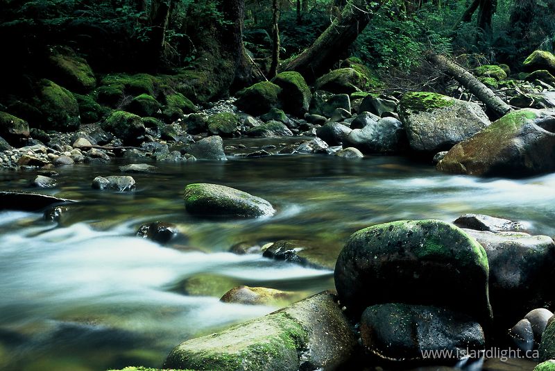   Wilderness photo
