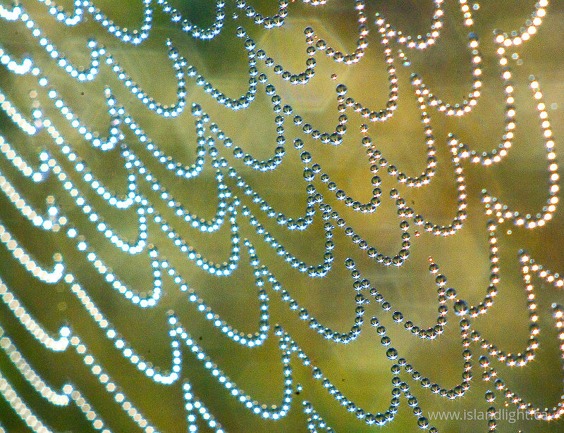   Abstract photo