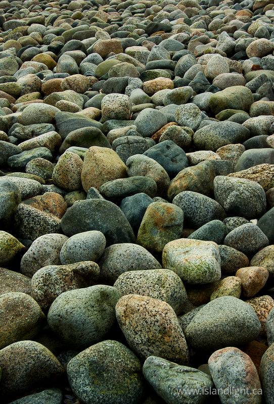   Beach photo