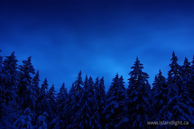   Snow photo
