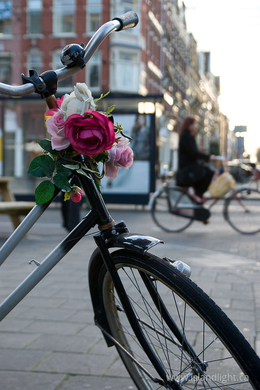   Bicycle photo
