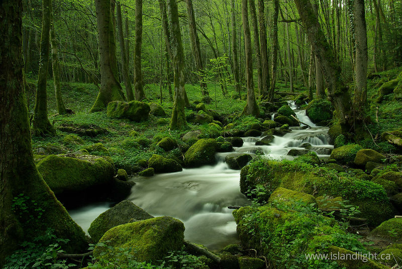   Creek photo