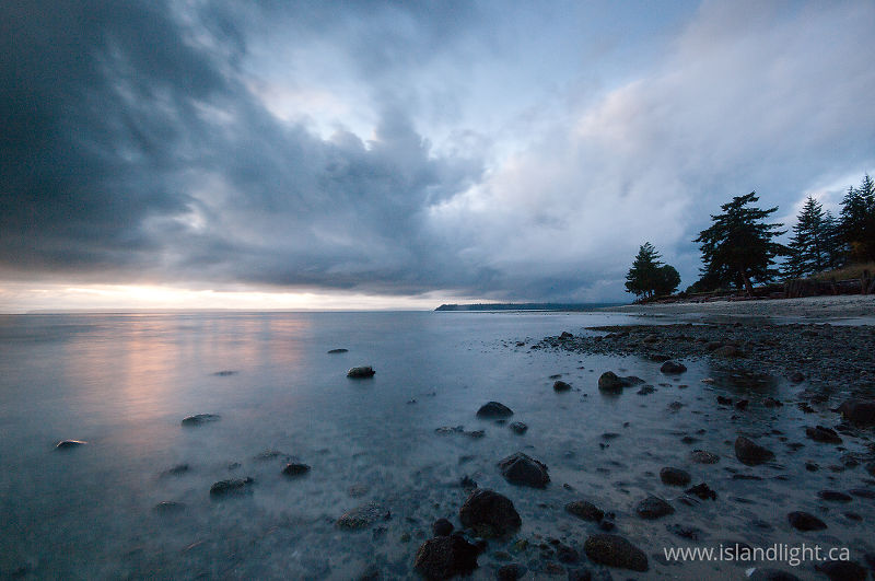 Evening -   photo