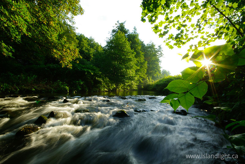   River photo
