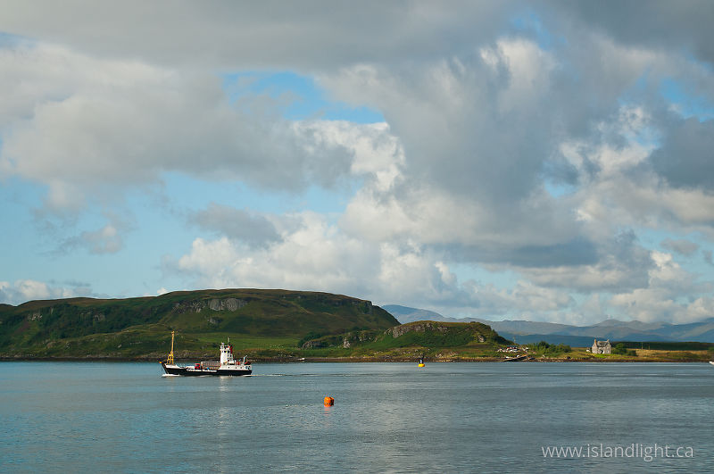 Oban Harbour - Oban  photo