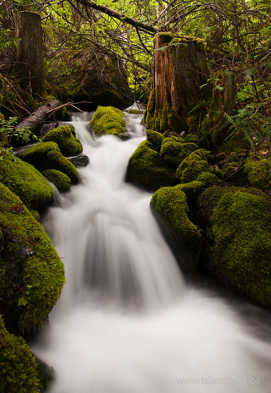 Climax Creek 2 - Slocan Valley Creek photo