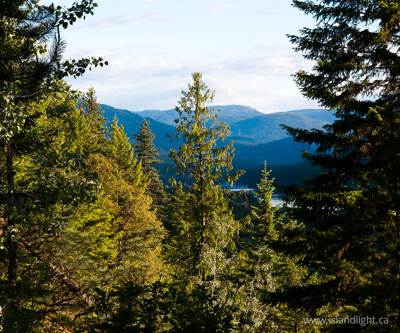 View south down the Slocan Valley - Slocan Valley  photo