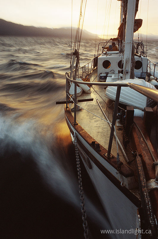   Sailboat photo