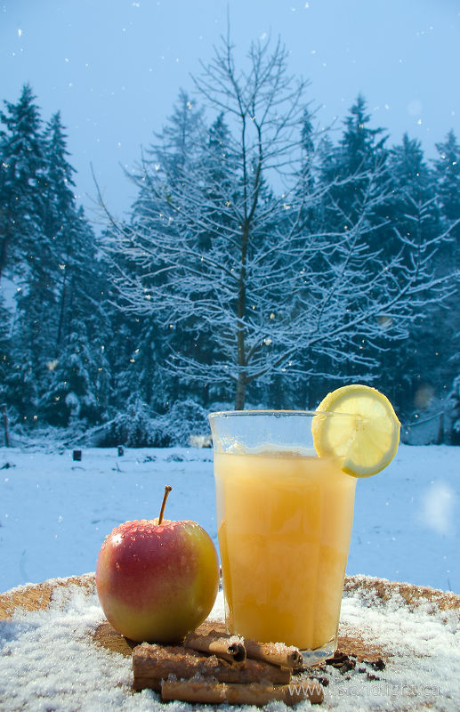 Christmas Cheer -   photo