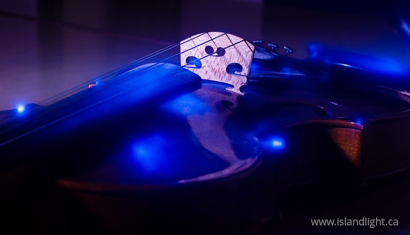 Violin  -   photo