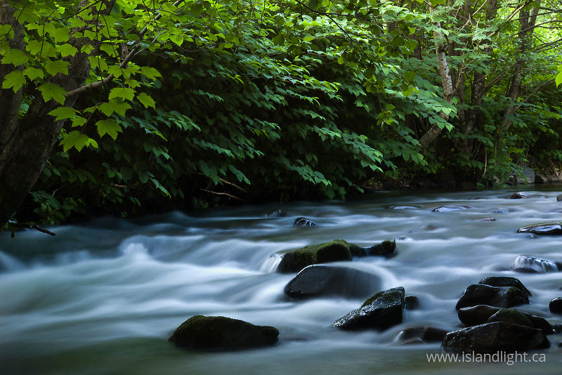   River photo