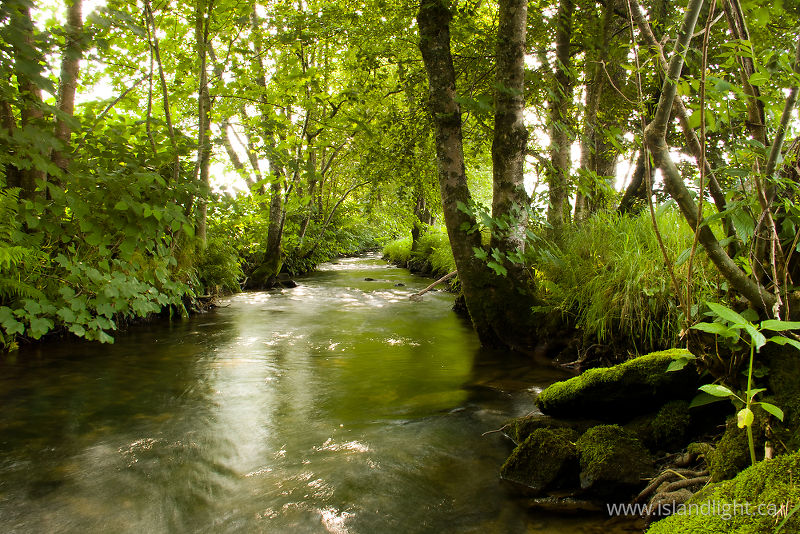   river photo