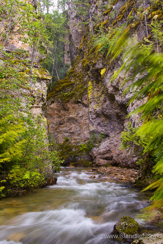   Creek photo