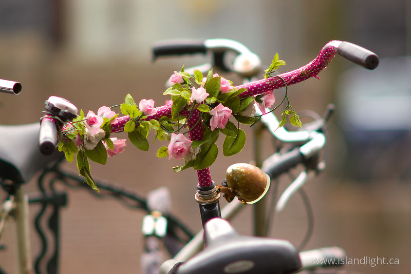   Bicycle photo