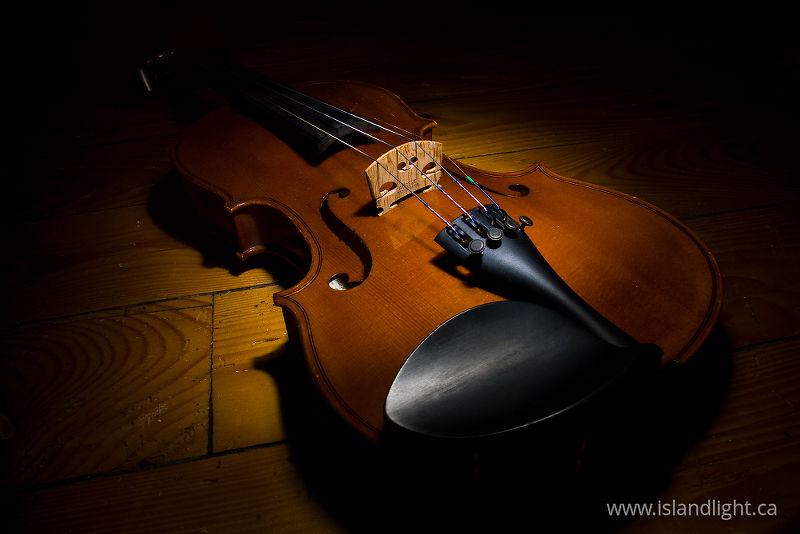 Violin -   photo