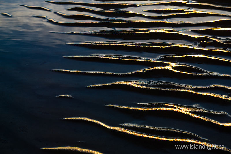 Shore line -   photo