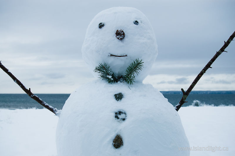 Hello from Snowman -   photo