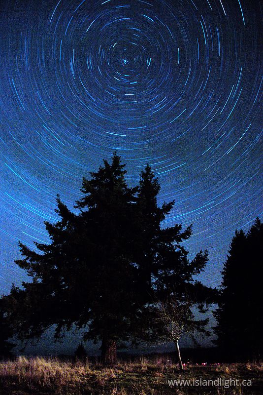 North Star -  Star photo