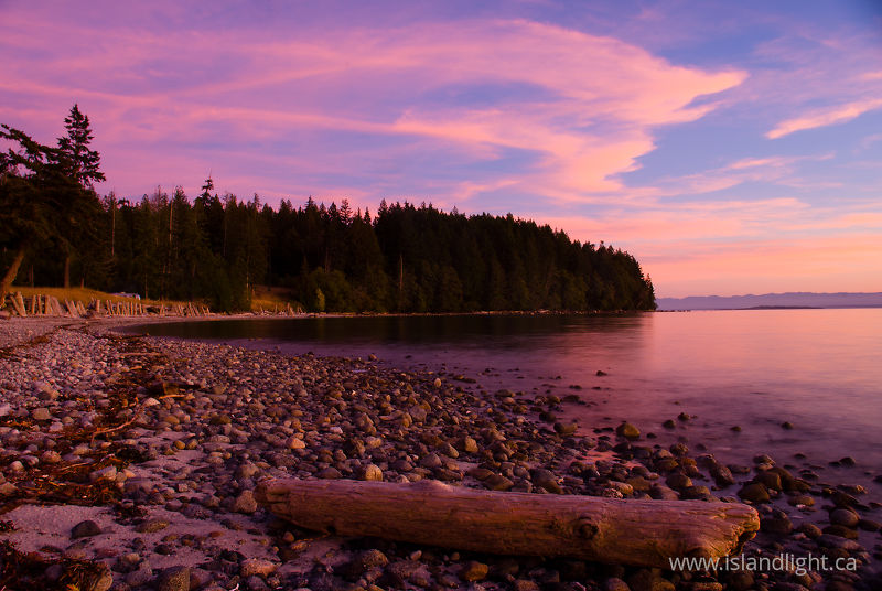 Pink and Purple -   photo