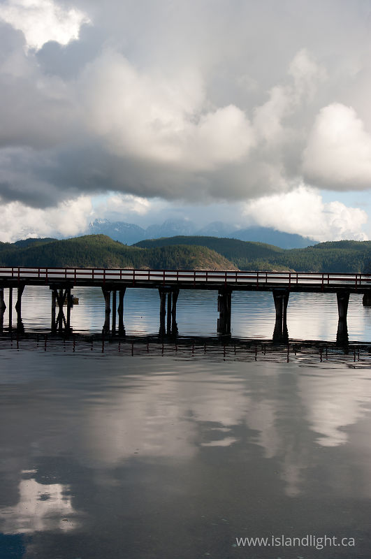 Sqirrel Cove Still Life - Cortes Island  photo