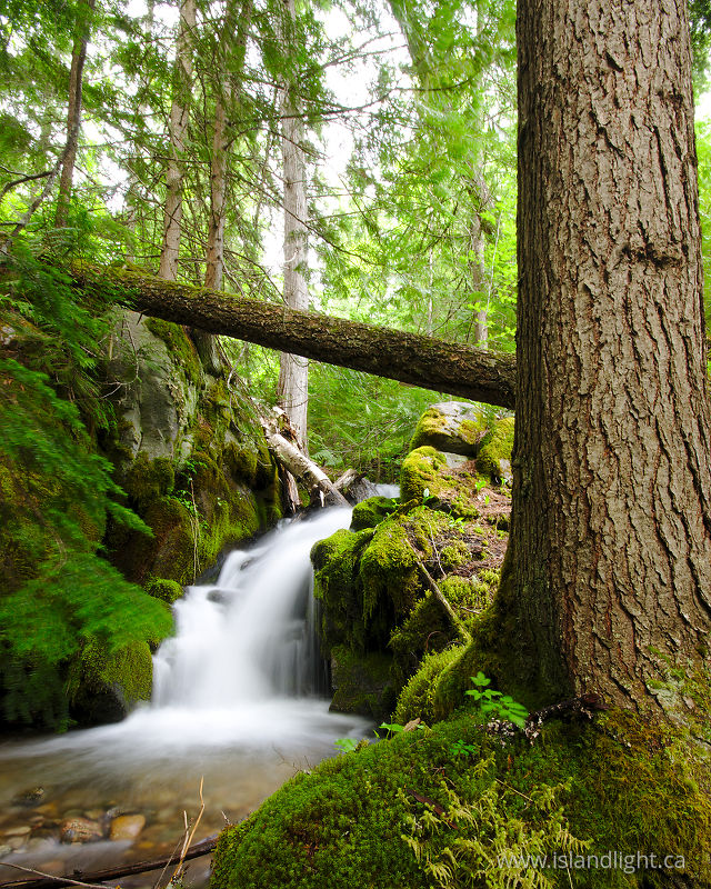   Waterfall photo