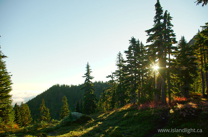 Sunrise On Mount Washington - Mount Washington Mountain Sunrise photo