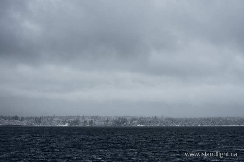 Marina Island In Winter - Marina Winter photo