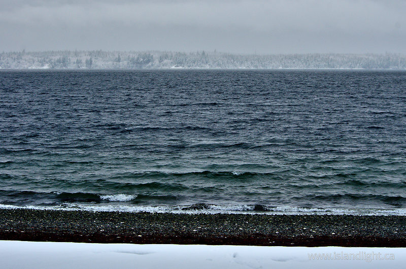 Marina In Winter 2 - Marina Island  photo