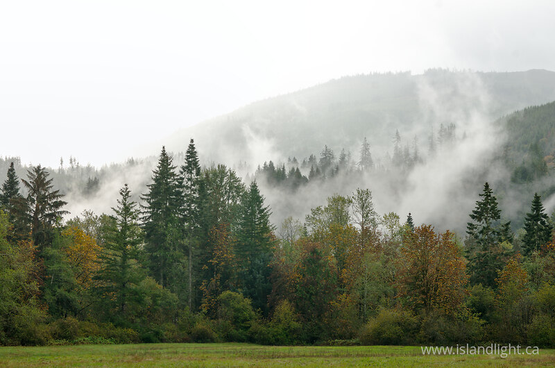 Mist Rising from the Nooksack River Valley - Nooksack River  photo