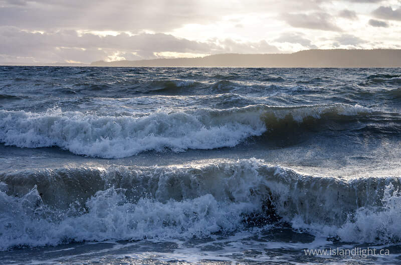   Wave photo