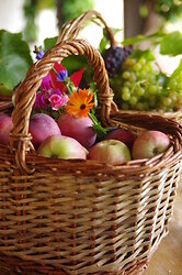 Abundance  -  Basket photo