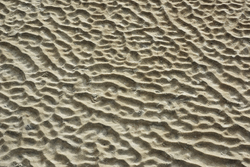 Sand - Cortes Island Beach photo