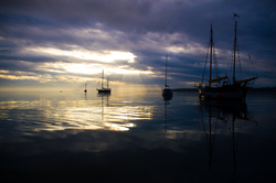 Cortes Island  photo