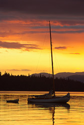 Sailboat #501 - Sailboat photo from Mansons Landing Cortes Island BC, Canada