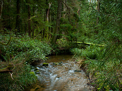 James Creek - Cortes Island Creek photo